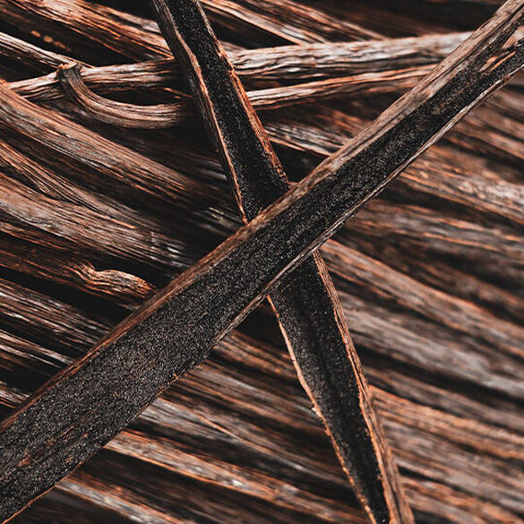 NYX Professional Makeup Coconut Cutie Hair & Body Fragrance Mist vanilla beans and wood illustrating bottom notes of amber, musk, vanilla, sandalwood, and cedarwood.